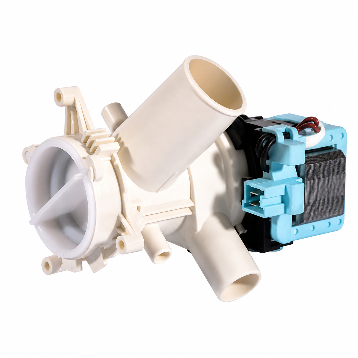 Text